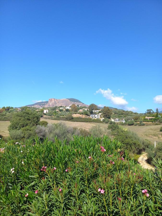 Butrone Sarrola Apartment Afa
